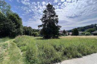 Grundstück zu kaufen in Am Pelzacker 4-6, 2532 Heiligenkreuz, Familiengrundstück im Wienerwald