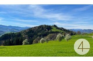 Grundstück zu kaufen in 3263 Randegg, Apfelbaumblüte vor Ihrem Haus im schönen Mostviertel - Baugründe in wunderschöner, sonniger Lage!