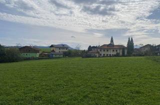 Grundstück zu kaufen in 5201 Seekirchen am Wallersee, 4 Baugrundstücke für Einfamilienhäuser in Seekirchen Mödlham
