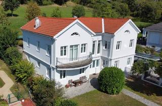 Haus kaufen in 2722 Winzendorf, Traumhaus mit Fernblick - angeschlossene Wiese mit Platz für Pferde