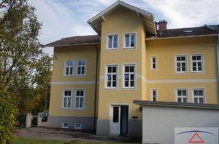 Haus kaufen in 3150 Wilhelmsburg, Sehr gepflegtes, leistbares Wohnhaus mit 3 Wohneinheiten in Wilhelmsburg!