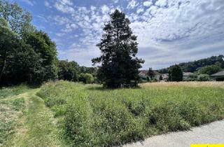 Grundstück zu kaufen in Am Pelzacker, 2532 Heiligenkreuz, Familiengrundstück im Wienerwald