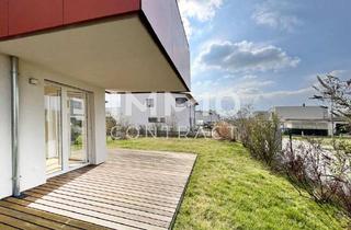 Wohnung kaufen in 3481 Fels am Wagram, Step2Heaven - 58,19qm Gartenwohnung - 160qm Eigengarten am Felser See