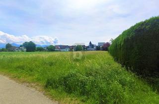 Grundstück zu kaufen in 6972 Fußach, TOP LAGE - INKLUSIVE PLÄNE FÜR WOHNANLAGE