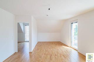 Wohnung mieten in Raphael-Donner-Allee 4-6, 1220 Wien, Tolle 2-Zimmerwohnung mit 2 Balkonen und Grünblick