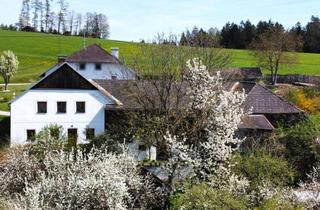 Bauernhäuser zu kaufen in 4150 Rohrbach, Zuhause im Sacherl - fernab vom Trubel