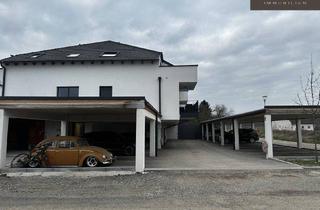 Wohnung mieten in Nordberggasse, 3462 Absdorf, ERSTBEZUG | SÜD - TERRASSE| 3-ZIMMER | CARPORT