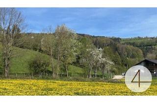 Grundstück zu kaufen in 3263 Randegg, Apfelblüte im Mostviertel - Baugründe in wunderschöner, sonniger Lage!