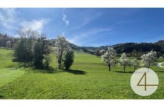 Grundstück zu kaufen in 3263 Randegg, Sonniges Baugrundstück in wunderschöner Lage im Mostviertel!