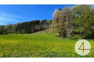 Grundstück zu kaufen in 3263 Randegg, Baugründe in wunderschöner, sonniger Lage! Ein Höchstmaß an Lebensqualität!