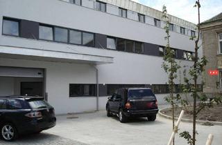 Büro zu mieten in Rudolf-Waisenhorn-Gasse, 1230 Wien, Modernisiertes Büro inkl. Individuelle Raumaufteilung je nach Kundenwunsch