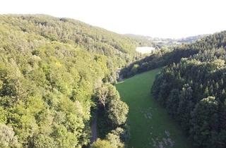 Grundstück zu kaufen in 7441 Pilgersdorf, Baugrundstück in Alleinlage umgeben von Wald!