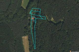 Grundstück zu kaufen in 7441 Pilgersdorf, Baugrundstück in Alleinlage umgeben von Wald!