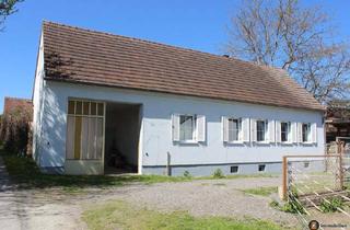 Bauernhäuser zu kaufen in 7432 Oberschützen, Willersdorf: Bauernhaus mit Nebengebäude in ruhiger Aussichtslage