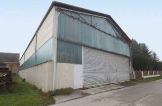 Gewerbeimmobilie mieten in 7453 Steinberg, Lagerhalle Nähe S31 zu vermieten!