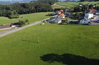 Grundstück zu kaufen in 2860 Kirchschlag in der Buckligen Welt, Wunderschöner Bauplatz mit Panoramablick!