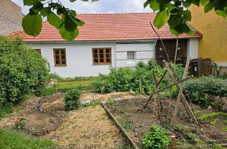 Bauernhäuser zu kaufen in 2154 Kleinbaumgarten, Herzallerliebstes Kleinod - ehemaliger Bauernhof im Weinviertel