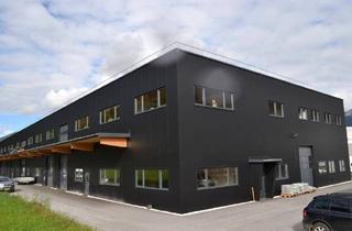 Gewerbeimmobilie kaufen in 6382 Kirchdorf in Tirol, Neu errichtete Gewerbehalle in hochwertiger Holzbauweise, unweit von St. Johann in Tirol
