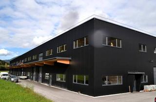 Gewerbeimmobilie kaufen in 6382 Kirchdorf in Tirol, Neu errichtete Gewerbehalle in hochwertiger Holzbauweise, unweit von St. Johann in Tirol