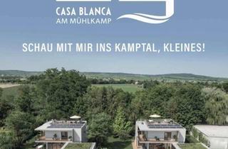 Haus kaufen in Diendorfer Weg 17A, 3493 Hadersdorf am Kamp, CASA BLANCA am Mühlkamp - SCHAU MIT MIR INS KAMPTAL, KLEINES!