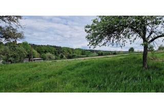 Grundstück zu kaufen in 8283 Bad Blumau, Idyllisches Baugrundstück in Lindegg – Lebensqualität inmitten der Thermenregion.