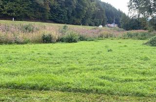 Grundstück zu kaufen in 2860 Kirchschlag in der Buckligen Welt, Schöner 800m² Baugrund, aufgeschlossen in Kirchschlag i.d.B.W - BK I oder BK II, 30% Bebaubarkeit!