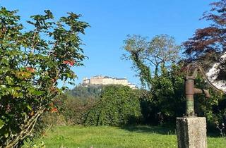 Grundstück zu kaufen in 5020 Salzburg, Dornröschen will wachgeküsst werden...