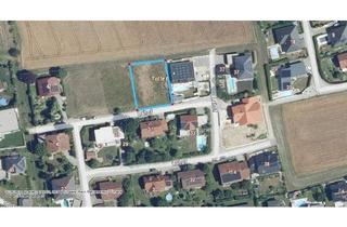 Grundstück zu kaufen in 4710 Grieskirchen, 2 Grundstücke für Einzel oder Doppelhaus