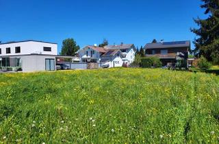 Grundstück zu kaufen in 6830 Rankweil, Lustenau: sehr schönes und sonniges Grundstück zu verkaufen