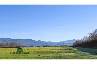 Haus kaufen in 5082 Grödig, Grundstück mit Altbestand im Süden von Salzburg