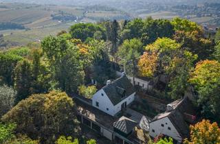 Villen zu kaufen in Am Kahlenberg, 1190 Wien, Liebe zur Nostalgie: Historische Villa am Kahlenberg mit Blick über Wien