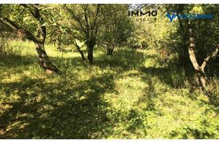 Grundstück zu kaufen in 3701 Großweikersdorf, KAUFANBOT ANGENOMMEN I Grundstück mit zwei Presshäusern und Weinkeller ca. 30 Minuten von Wien