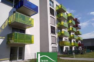 Wohnung mieten in Semmelweisstraße, 4020 Linz, PROVISIONSFREI - Wohnungen sofort bezugsfertig - WG-geeignet! Mit Balkon, Terrasse, Loggia!