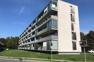 Wohnung mieten in Achstraße 13a, 6971 Hard, Schöne 2-Zimmer-Wohnung Hard, inkl. Tiefgaragenplatz, Seenähe ab 1.8.2024 zu vermieten