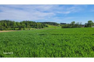 Grundstück zu kaufen in 4490 Sankt Florian, Interessante landwirtschaftliche Grundstücke