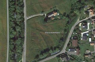 Gewerbeimmobilie kaufen in 9400 Reding, ca. 7000m² Grünfläche/ Agrarfläche zw. Wolfsberg und St.Stefan