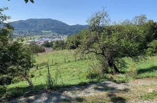 Grundstück zu kaufen in 9555 Glanegg, Baugrund mit herrlichem Weitblick