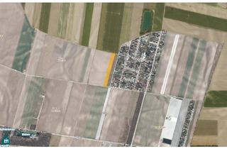 Grundstück zu kaufen in Pfirsichgasse, Speierlinggasse, 1220 Wien, BAUERWARTUNGSLAND IN 1220 WIEN / NÄHE PFIRSICH TEICH (KG 01654 ESSLING, EZ 175)