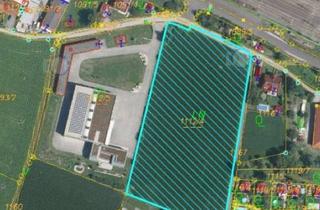 Grundstück zu kaufen in Seeweg, 4481 Raffelstetten, Gewerbegrundstück Asten/ Raffelstetten