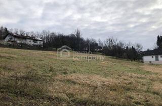 Grundstück zu kaufen in 8384 Minihof-Liebau, Mehrere Baugründe in Minihof Liebau