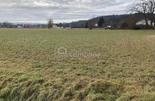 Grundstück zu kaufen in 8380 Rax, Baugrund nahe Jennersdorf