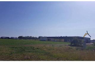Grundstück zu kaufen in 2700 Wiener Neustadt, *** PREISREDUKTION *** Wiener Neustadt: Gewerbegrundstück 11.388 m² (nicht teilbar) in frequenter Lage zu kaufen