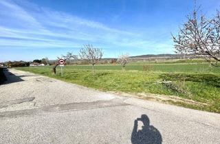 Grundstück zu kaufen in 7092 Winden am See, Bauträgergrundstück in Winden am See mit Bebauungstudie