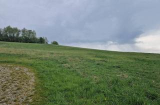 Grundstück zu kaufen in 3610 Maigen, AUSSERGEWÖHNLICHES BAUGRUNDSTÜCK IN MAIGEN MIT HERRLICHEM AUS- UND FERNBLICK IN TOLLER, RUHIGER, ERHÖHTER WOHNLAGE