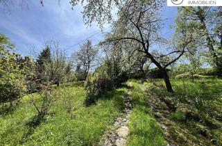 Grundstück zu kaufen in 4400 Garsten, Baugrundstück: 4400 Garsten in nachgefragter Lage ohne Bauzwang!