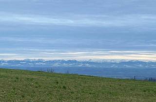 Grundstück zu kaufen in 4322 Windhaag bei Perg, Mein Baugrund im Weingarten (5 Baugründe ab ca 841m2 inkl Trenngrün)