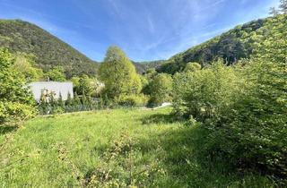 Grundstück zu kaufen in 2371 Hinterbrühl, Kleines Paradies: 1.586m² großes Baugrundstück in 2371 Hinterbrühl