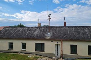 Grundstück zu kaufen in 2115 Thomasl, GRUNDSTÜCK mit Stadl und Bauernhaus