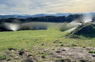 Grundstück zu kaufen in 5232 Wendling, Traumhafte Eigenheim-Lage: Grundstück am Ortsrand von Kirchberg bei Mattighofen