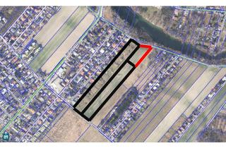 Grundstück zu kaufen in Ulanenweg, Schilfweg, 1220 Wien, BAUERWARTUNGSLAND IN 1220 WIEN / GRÜNLAND AM OBEREN MÜHLWASSER (KG 01651 ASPERN, EZ 323, 597)